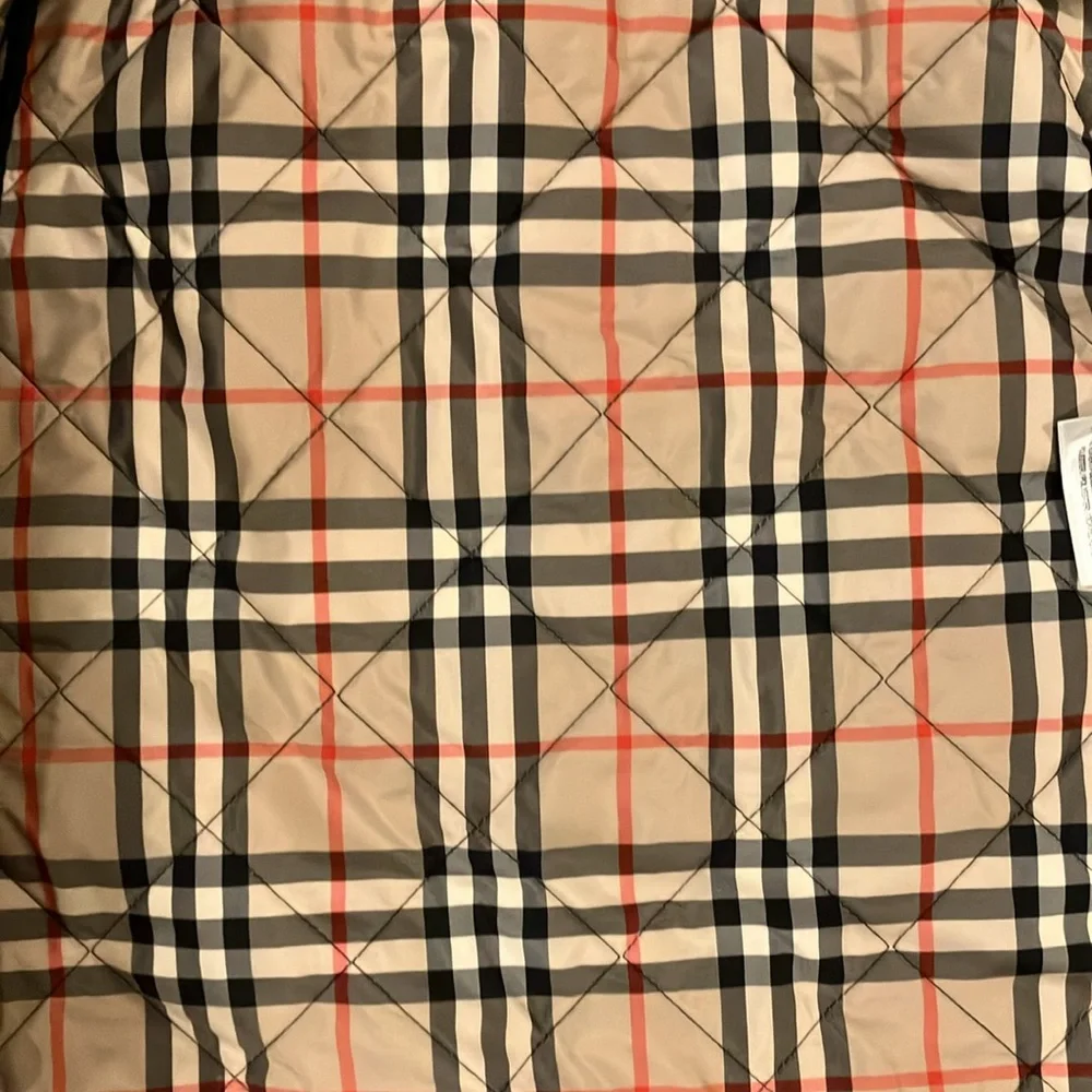 Burberry introducing boys